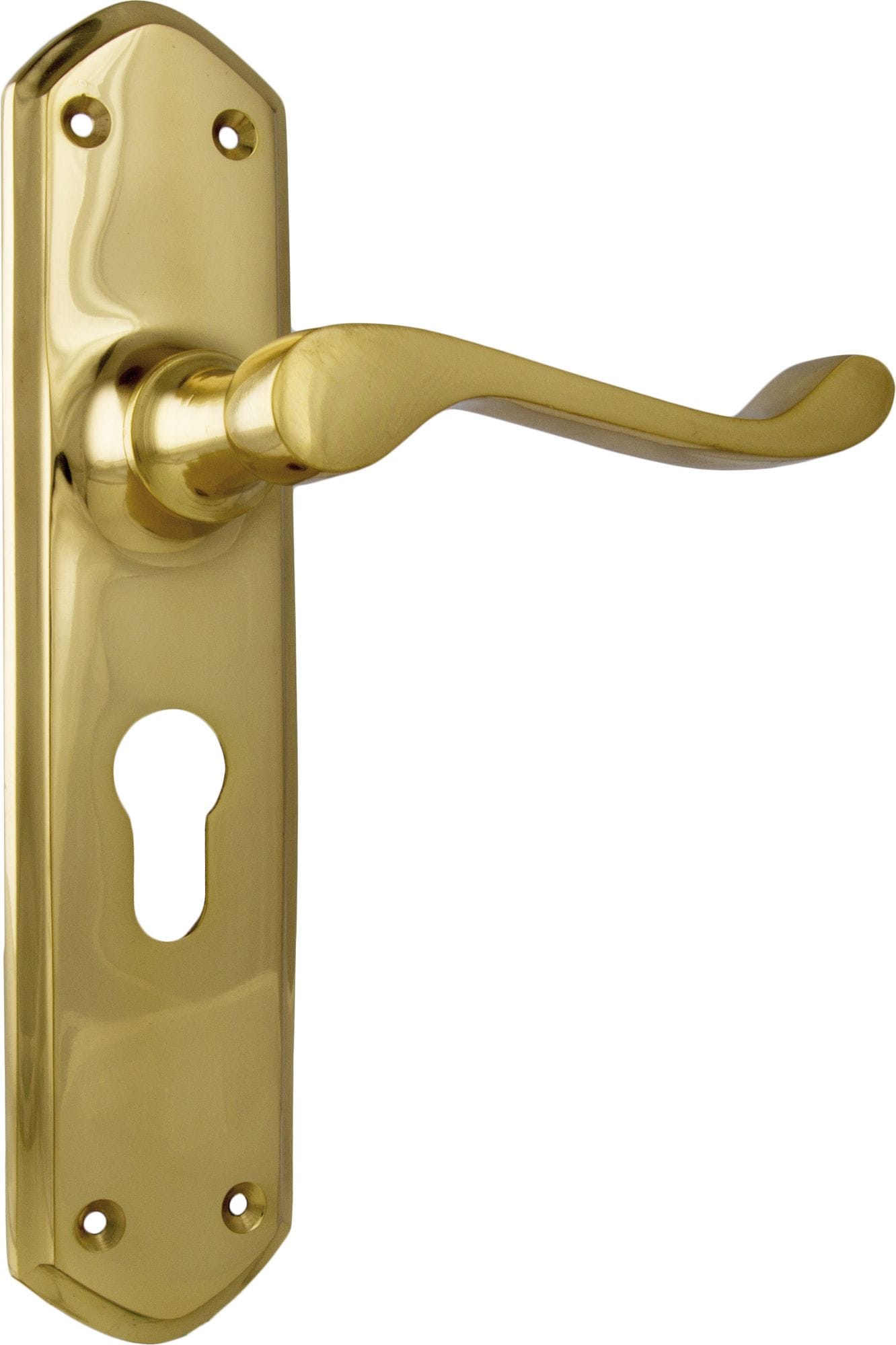 Windsor Lever Euro Polished Brass