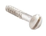 Screw - Domed Head Polished Nickel 5g x 19mm (50 pack)