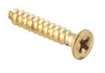 Screw - Hinge Polished Brass 8g x 25mm (50 pack)