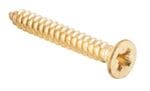 Screw - Hinge Polished Brass 10g x 32mm (50 pack)
