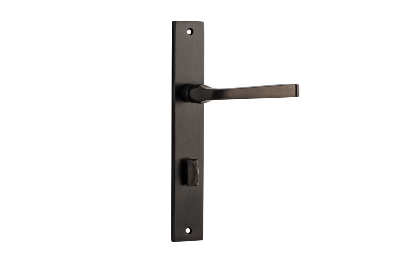 Annecy Lever Privacy 85mm Rectangular Signature Brass