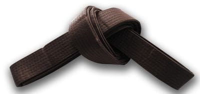 About Hapkido Belt Ranking System