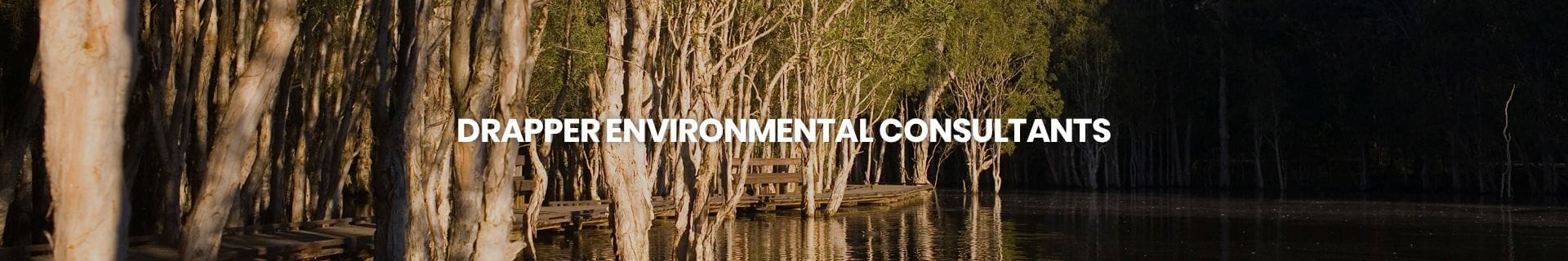 Drapper Environmental Consultants Drapper Environmental Consultants Website Banner