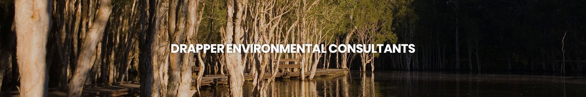 Drapper Environmental Consultants Website Banner