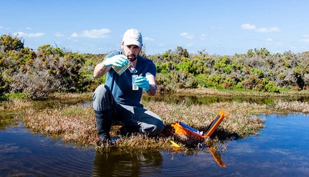 FIELD MONITORING FIELD MONITORING