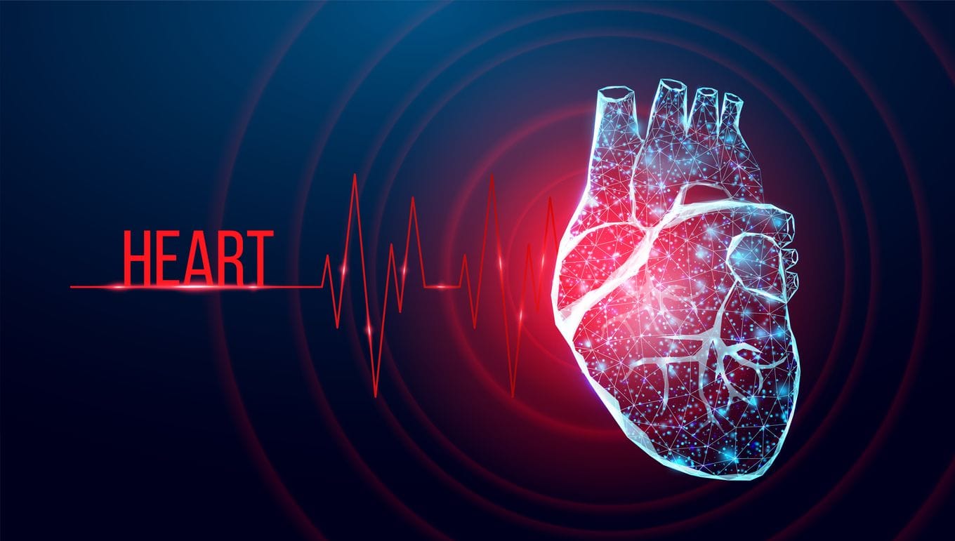 The surprising role of the heart's right ventricle: What endurance athletes need to know