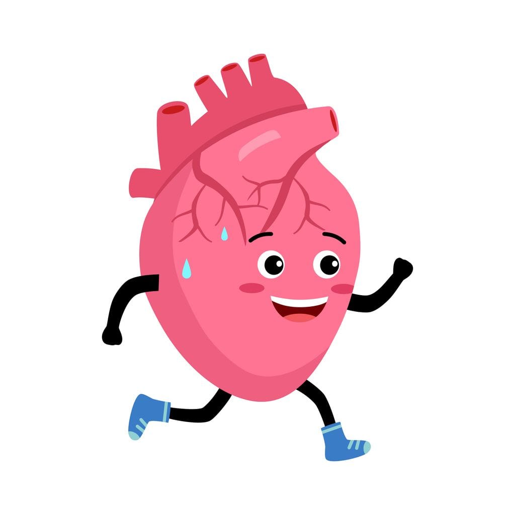 Can I still compete? What the new AHA/ACC guidelines say about heart health and sport