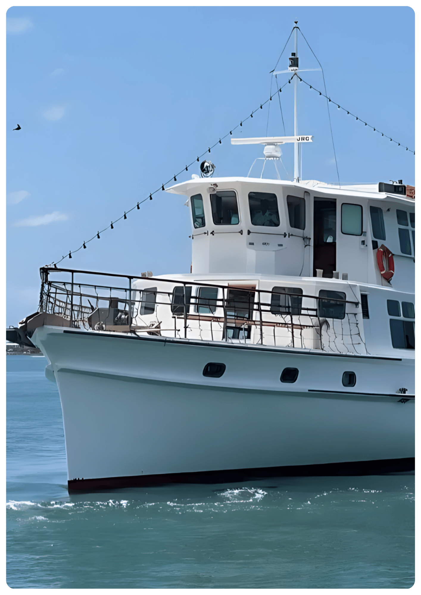 All Brisbane Cruises