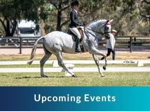 upcoming events, horse and jockey