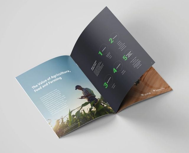Brochure / Booklet Brochure / Booklet