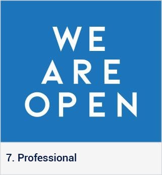 7. Professional style