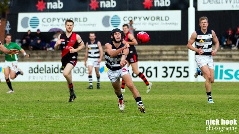 Caleb Daniel Nominated for Round Four AFL Rising Star