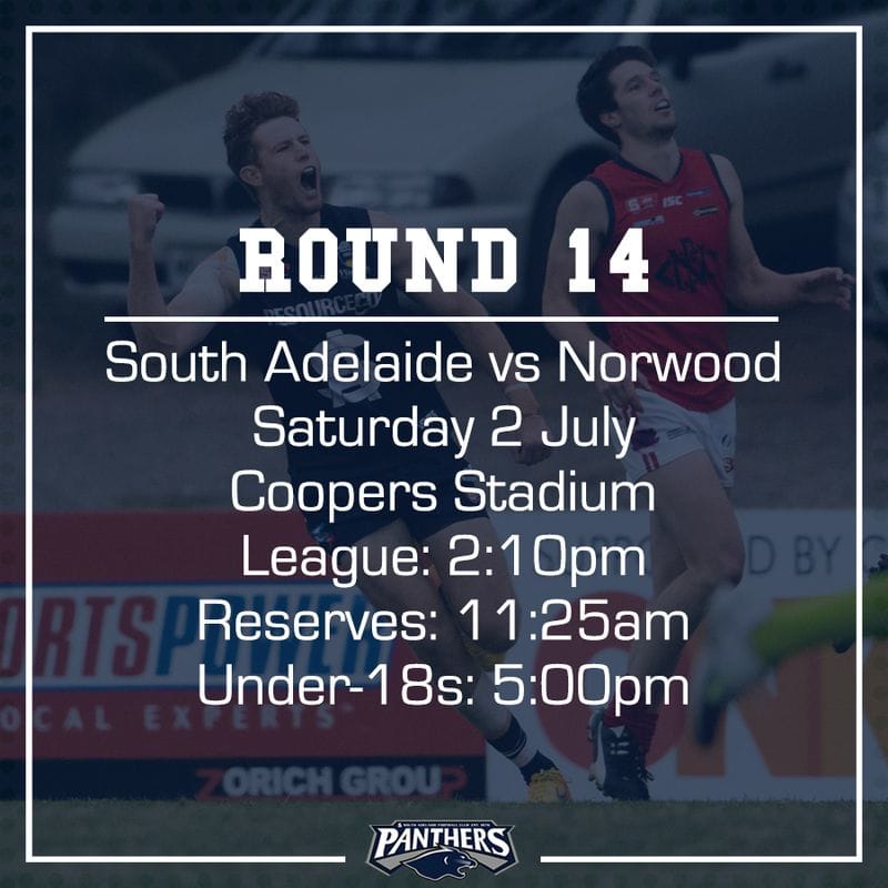 Round 14: South vs Norwood - Teams