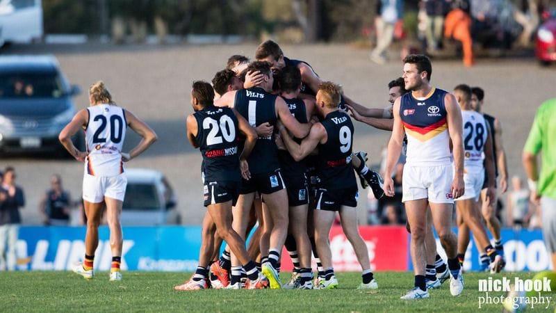 Panthers Last Stand at Hickinbotham - Round 22 Match Preview