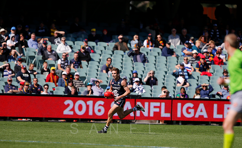 Seniors Report: Semi Final - South Adelaide vs Adelaide