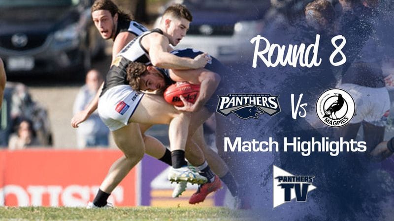 Panthers TV: South Vs Port Round 8 Highlights