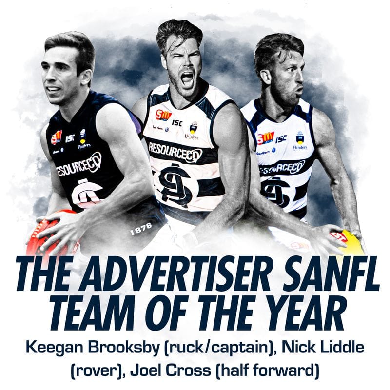 Panthers trio named in Advertiser Team of the Year