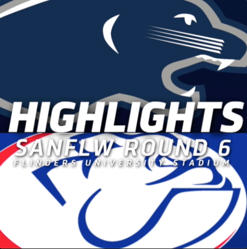 PanthersTV: South Adelaide vs Central District Highlights | Round 6, 2019 | SANFLW