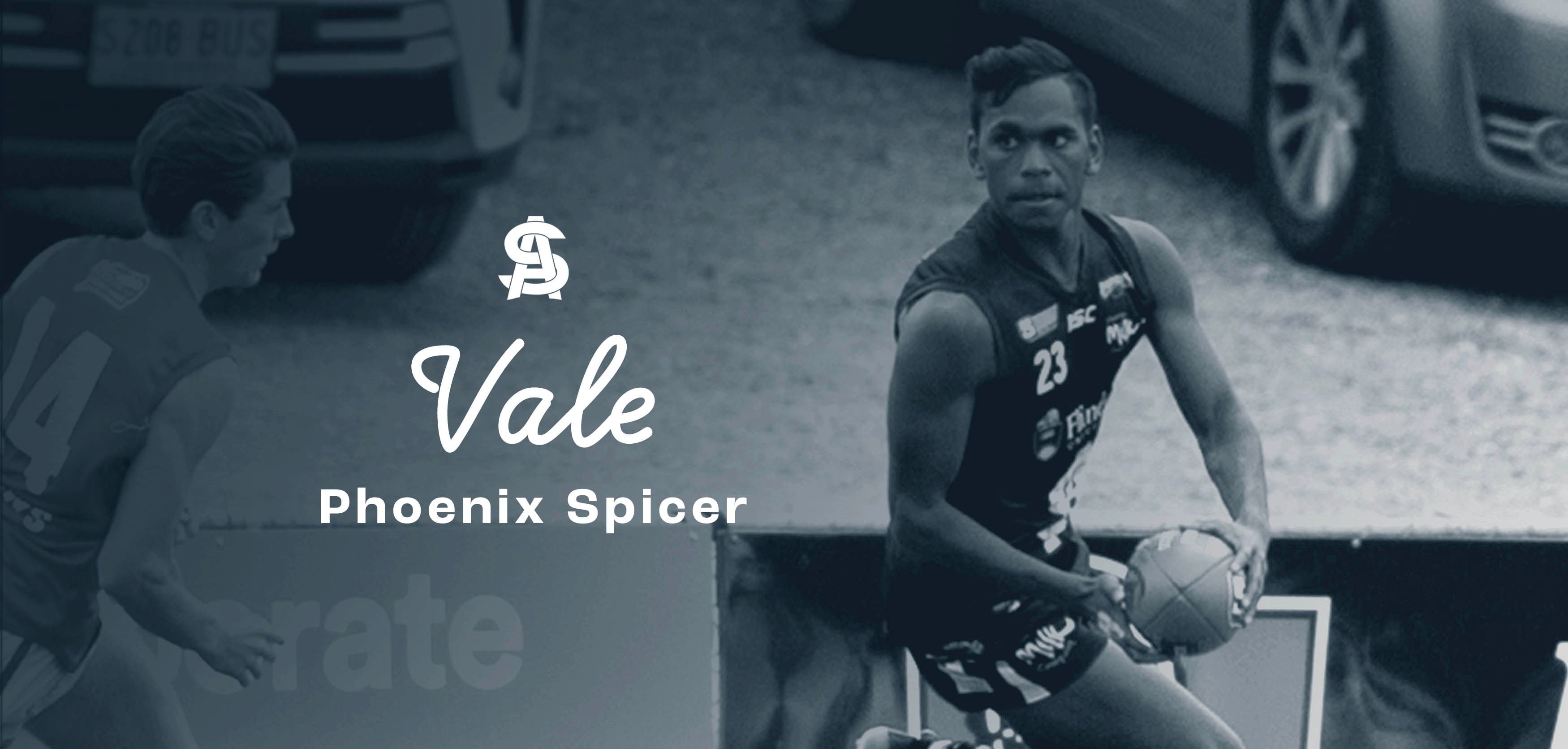 Vale Phoenix Spicer
