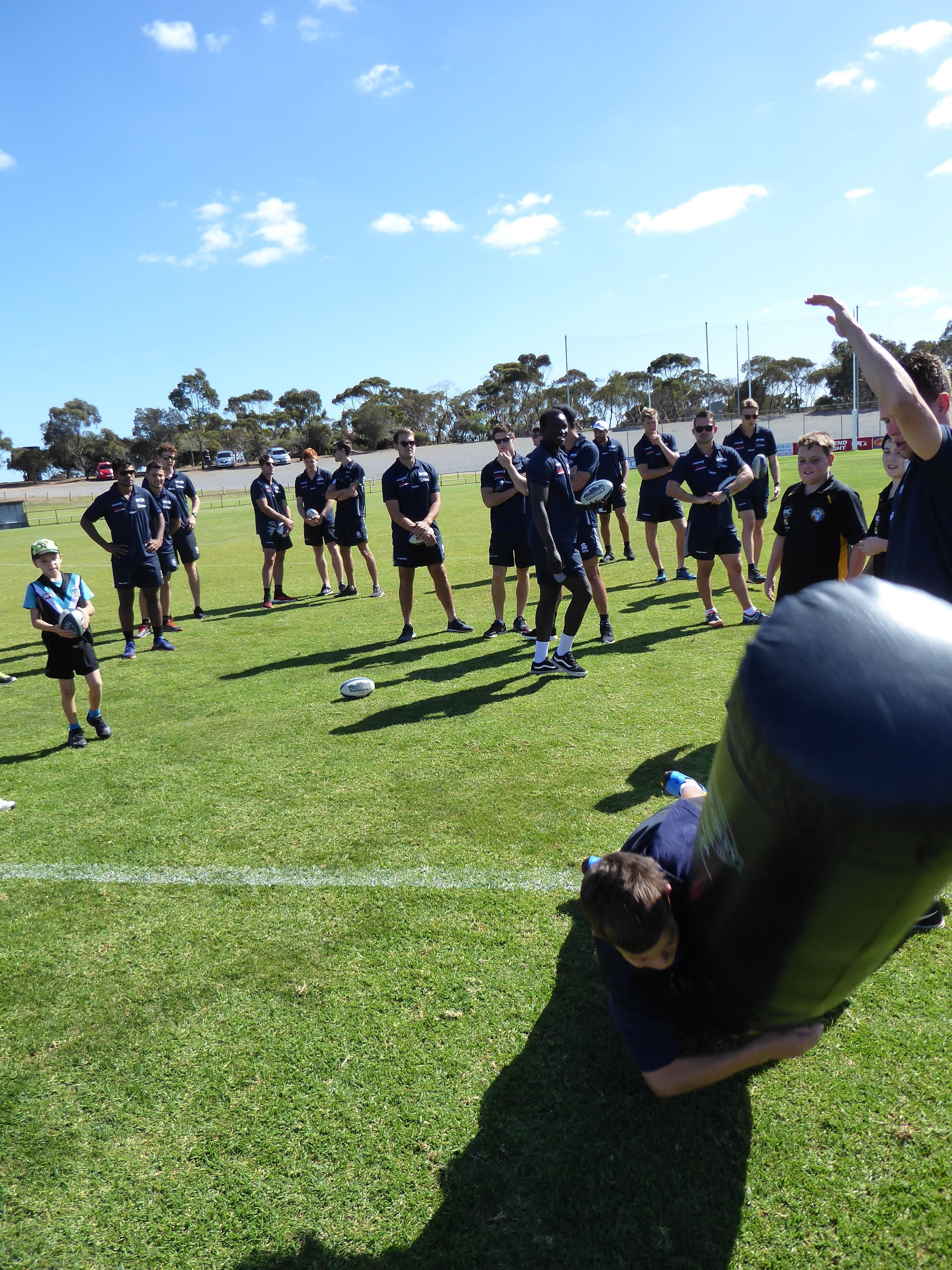 Panthers Family Fun Day/Season Launch Image -56f0c4805fc15