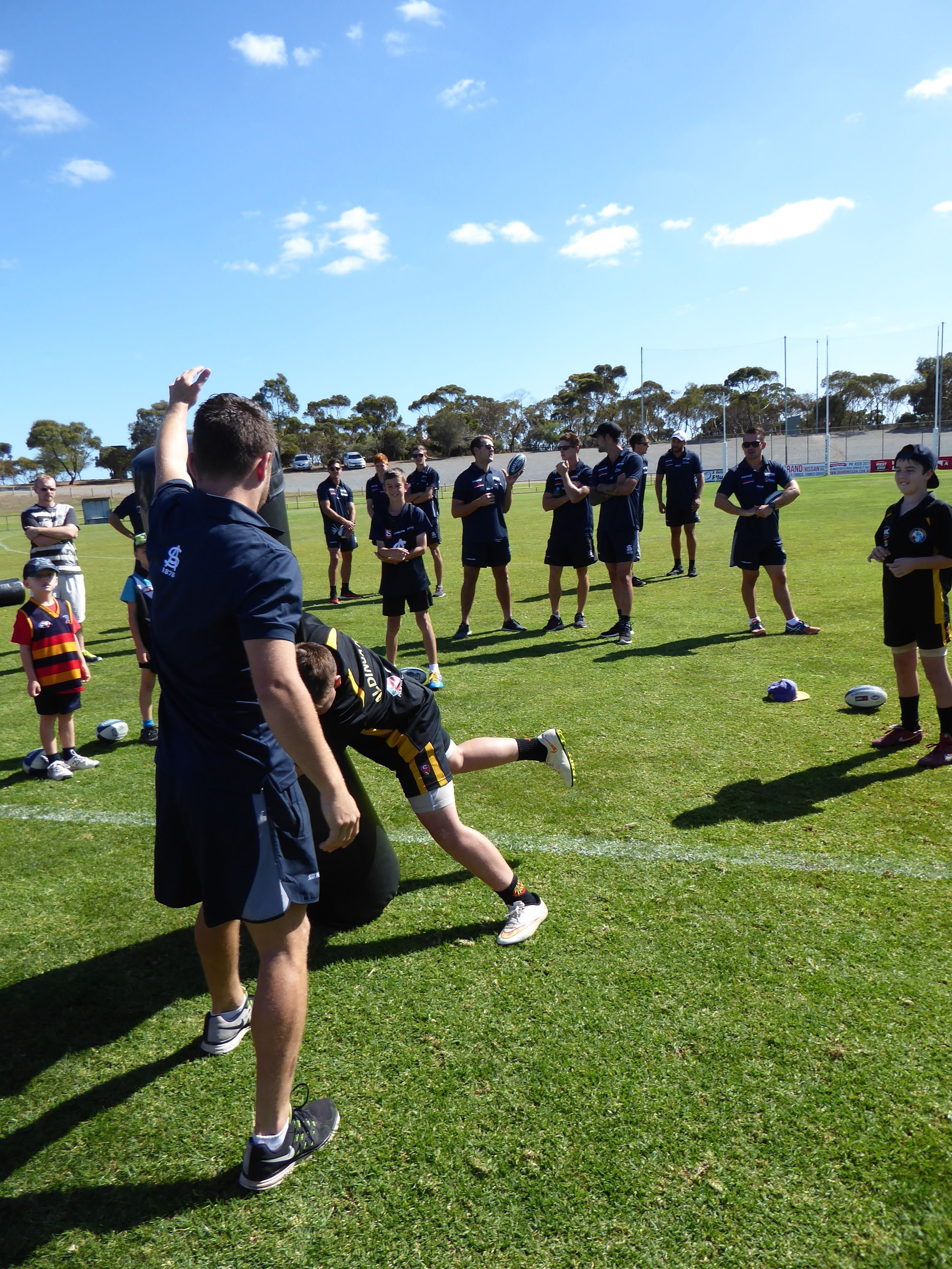 Panthers Family Fun Day/Season Launch Image -56f0c489035b1