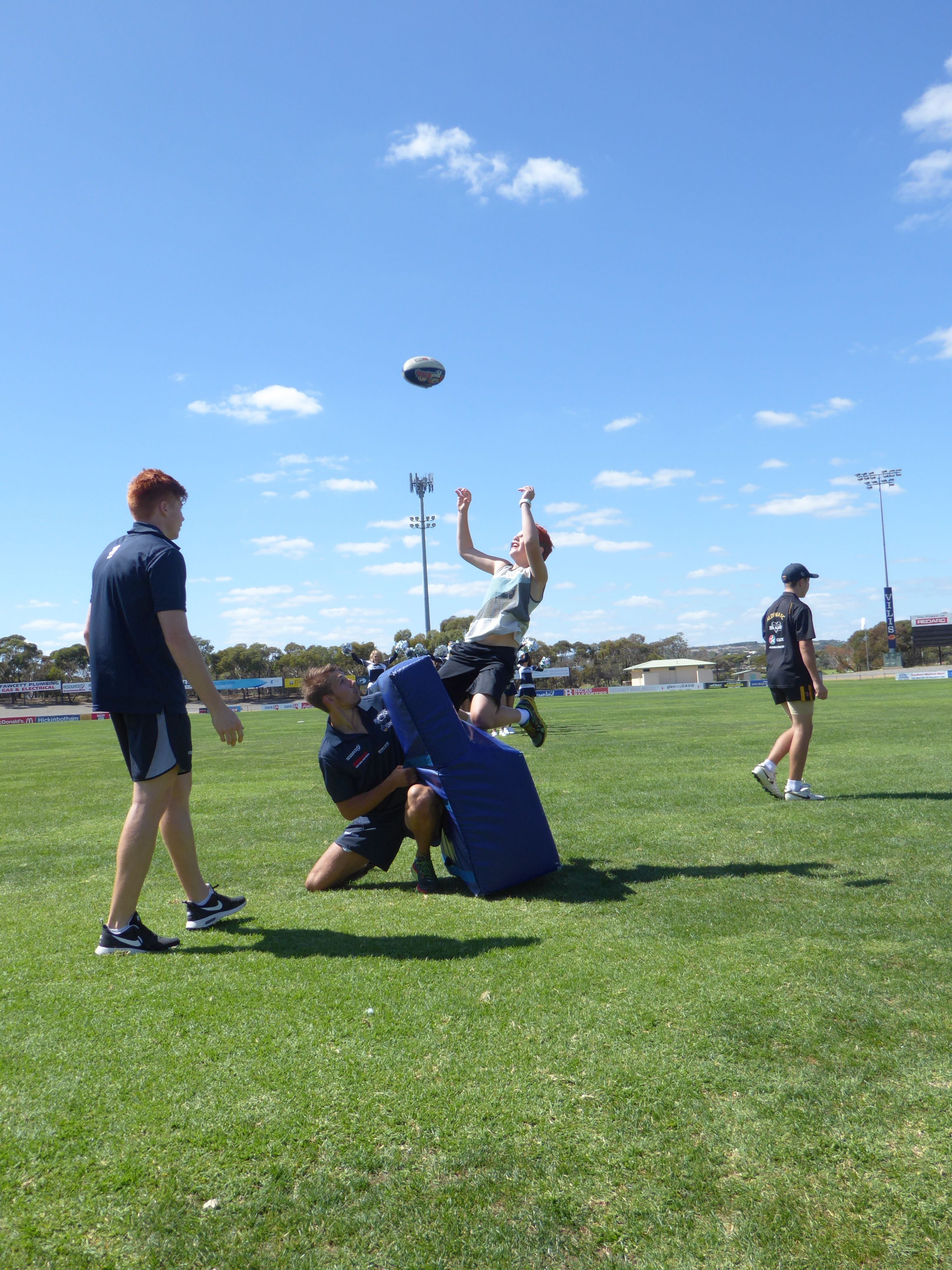 Panthers Family Fun Day/Season Launch Image -56f0c721ad84d