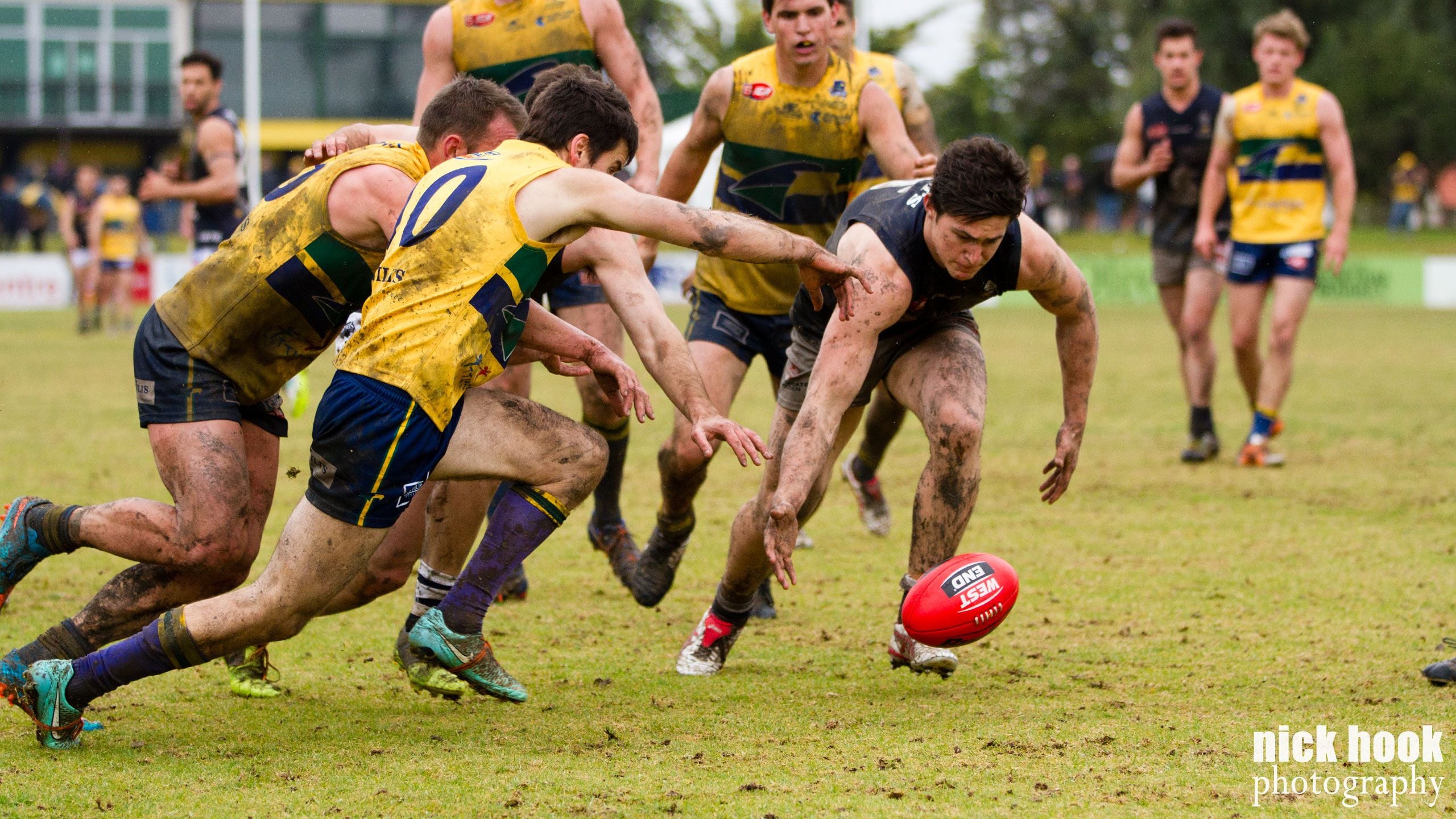 Brede Seccull - 50 Games Image -577a04fc3390e