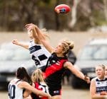 2021 Women's round 11 vs West Adelaide Image -609fdc4c9a229