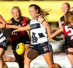 2022 Women's round 5 vs West Adelaide Image -62246c8fec23c