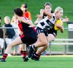 2022 Women's round 5 vs West Adelaide Image -62246cb636c70