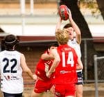 2022 Under 16s round 11 vs North Adelaide Image -62a4ab6b11d4f