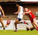 2022 Under 16s round 11 vs North Adelaide Image -62a4ab85dd319