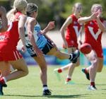 2024 Women's Trial 2 vs North Adelaide Image -65d0787560dc3