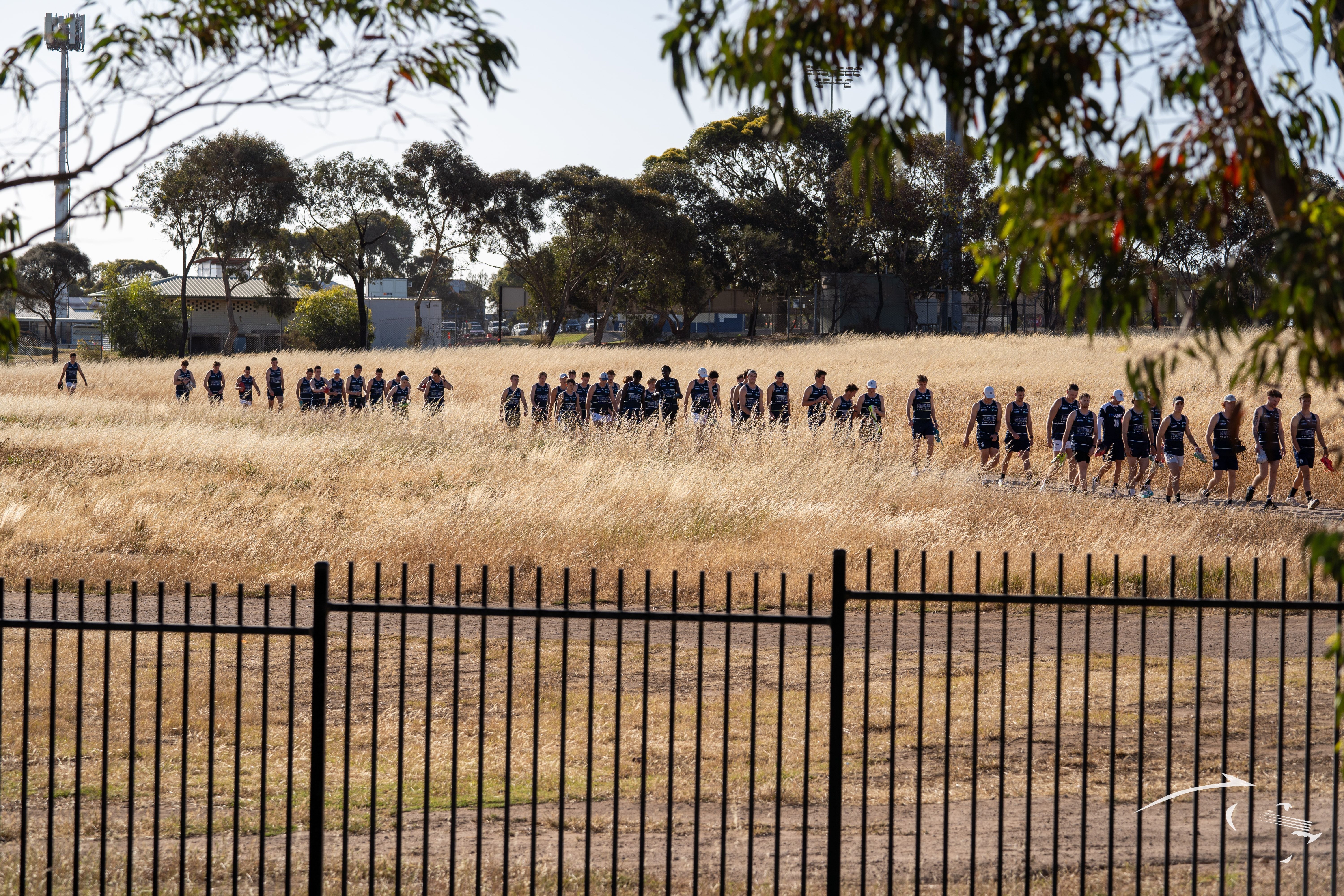 2025 Pre-Season: Men's Training 18-11-24 Image -673bd76edf604