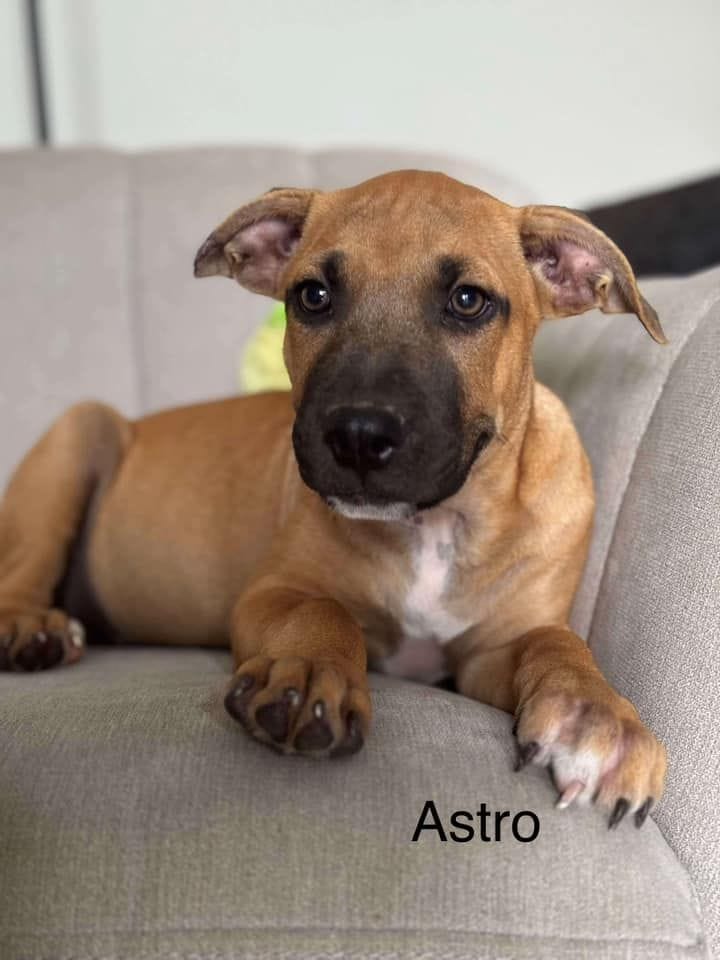 Astro