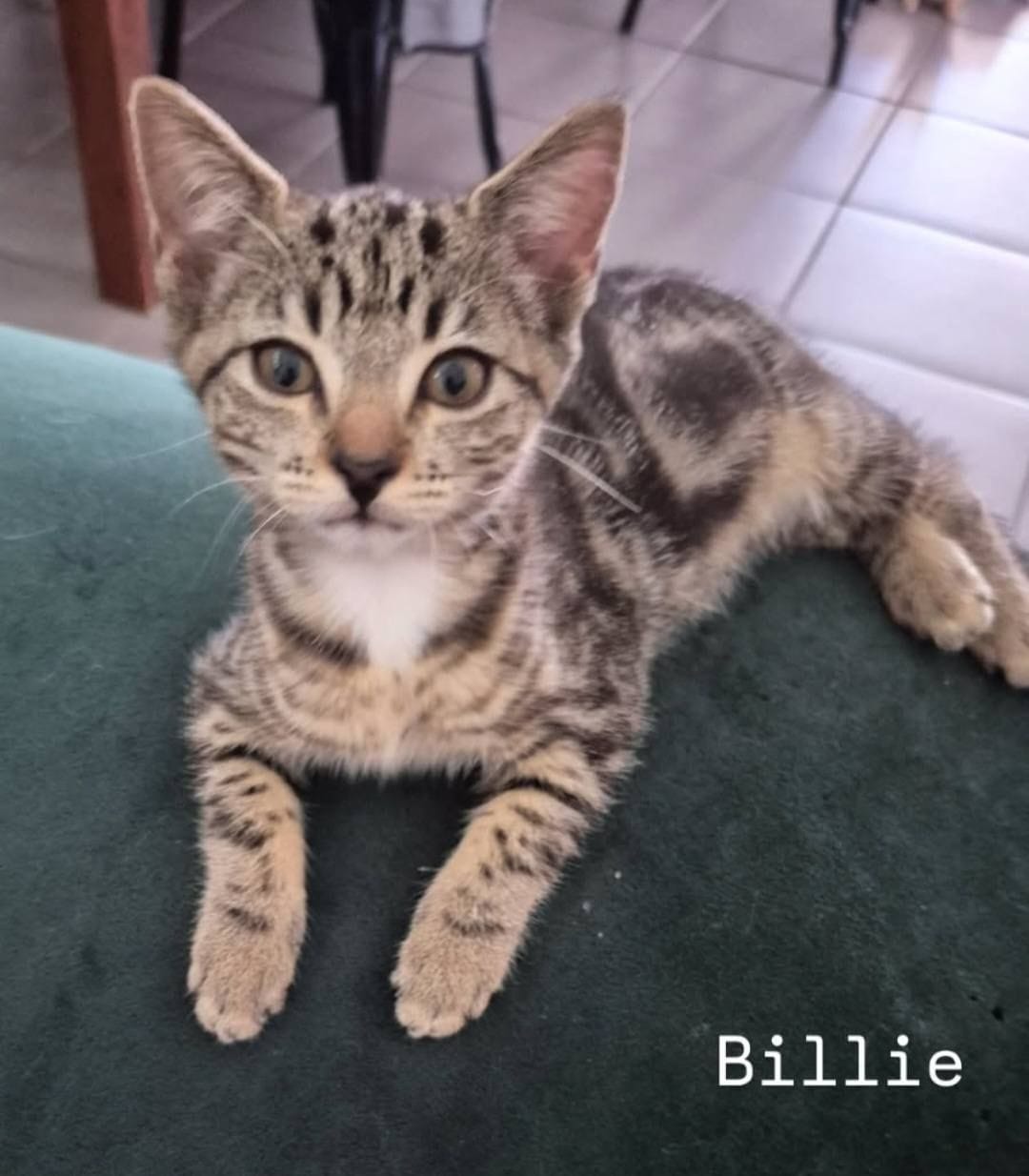 Billie