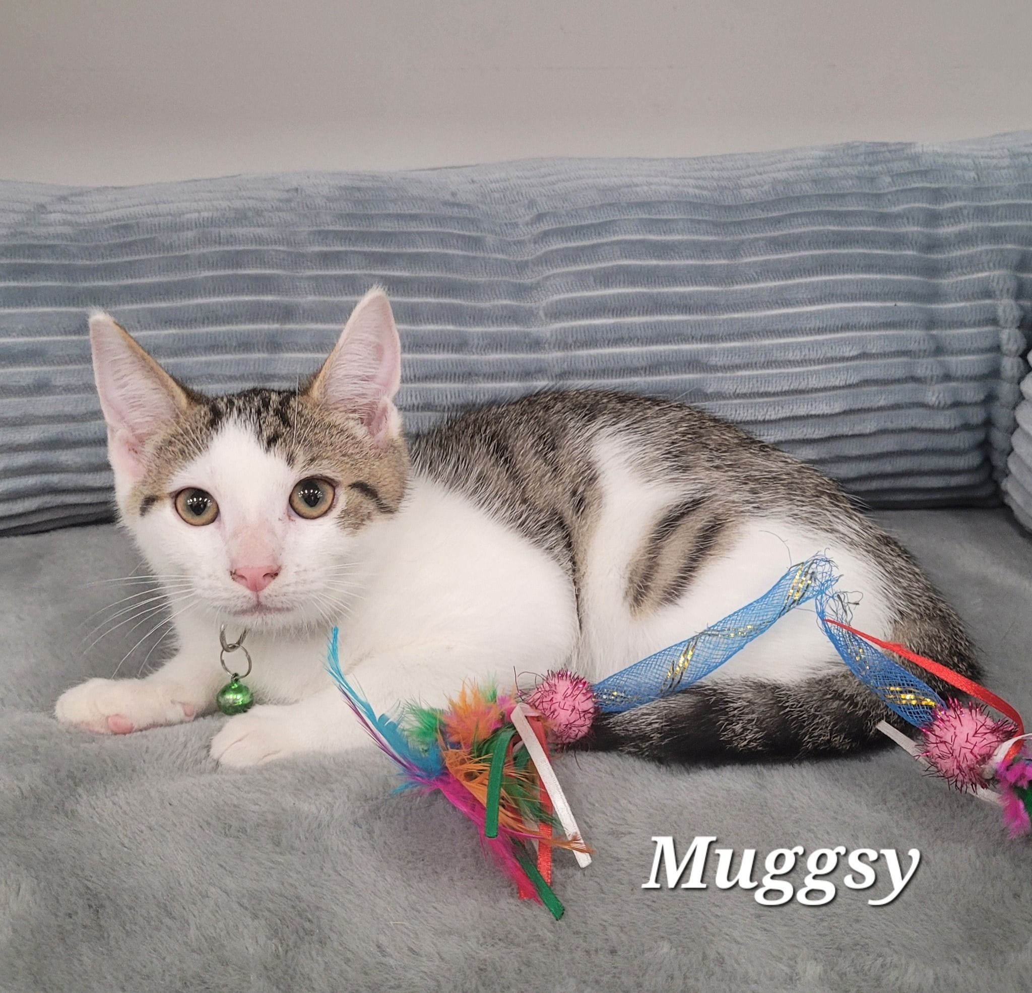 Muggsy