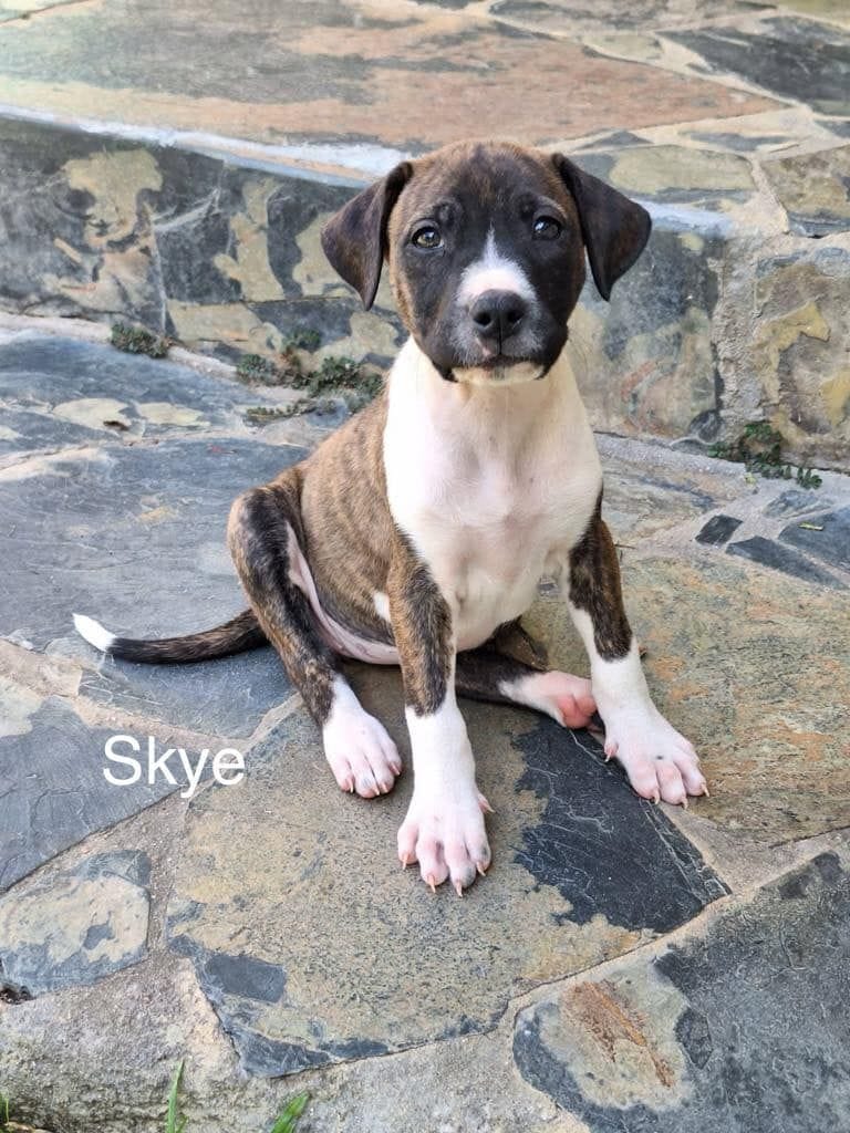 Skye