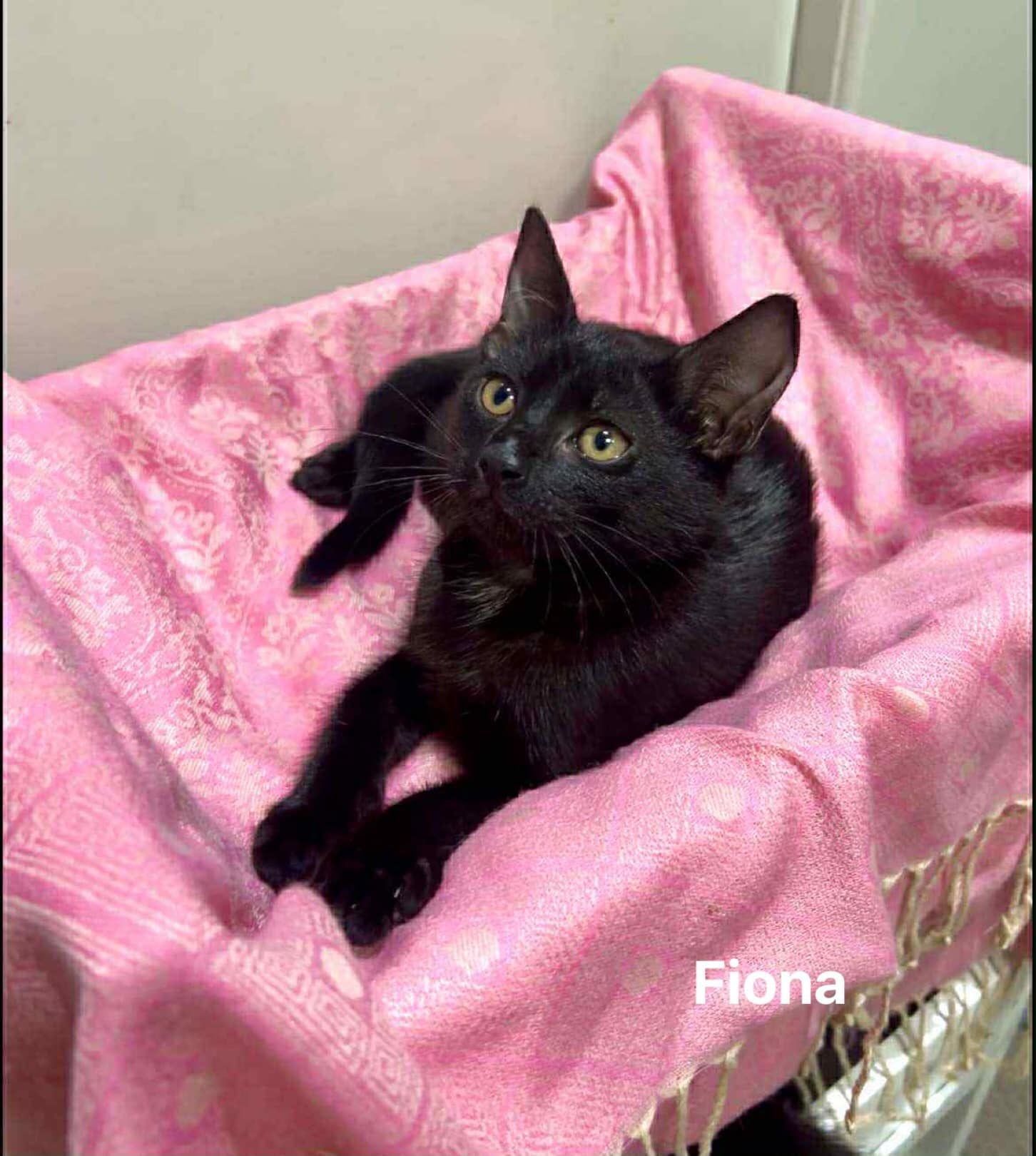 Fiona