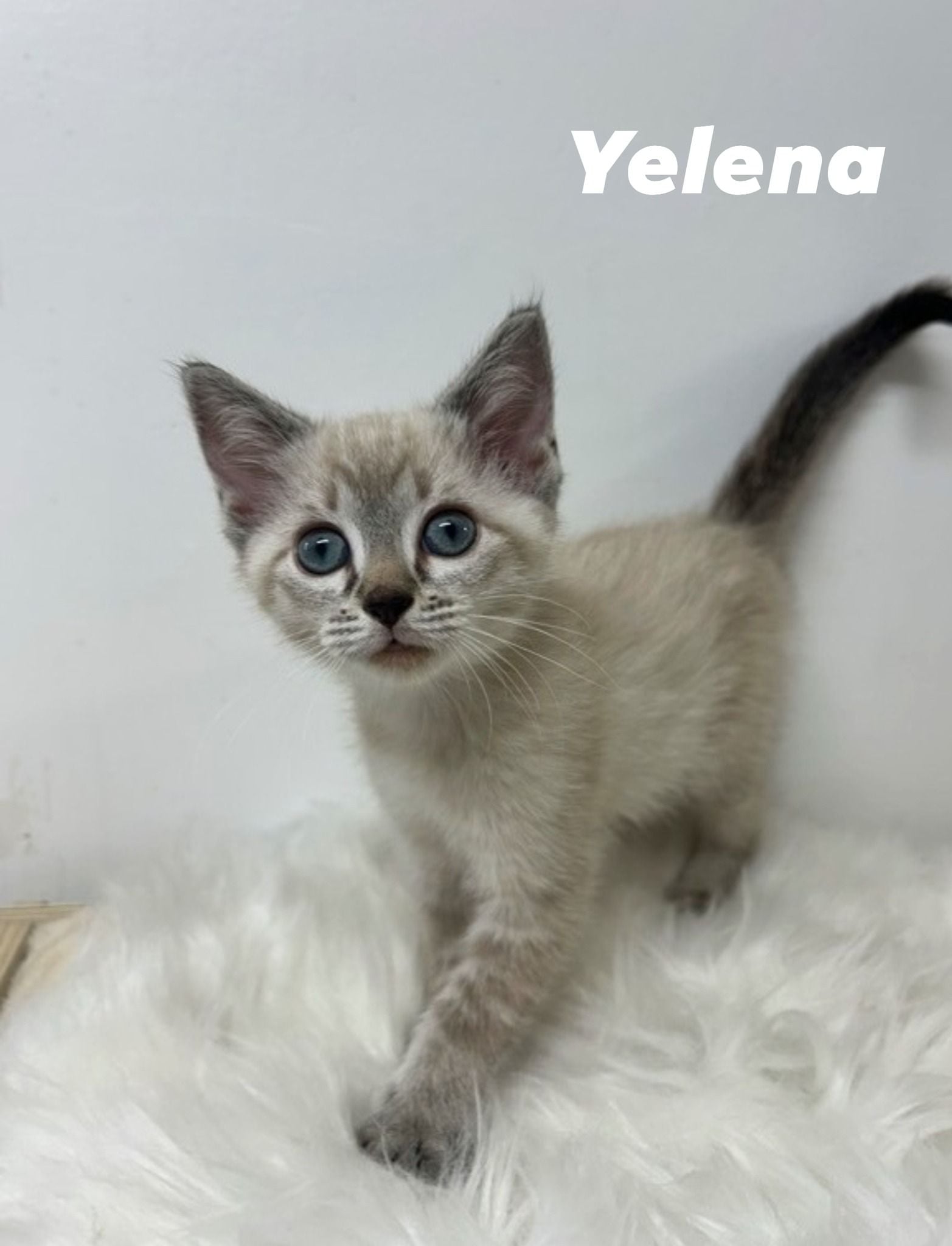 Yelena