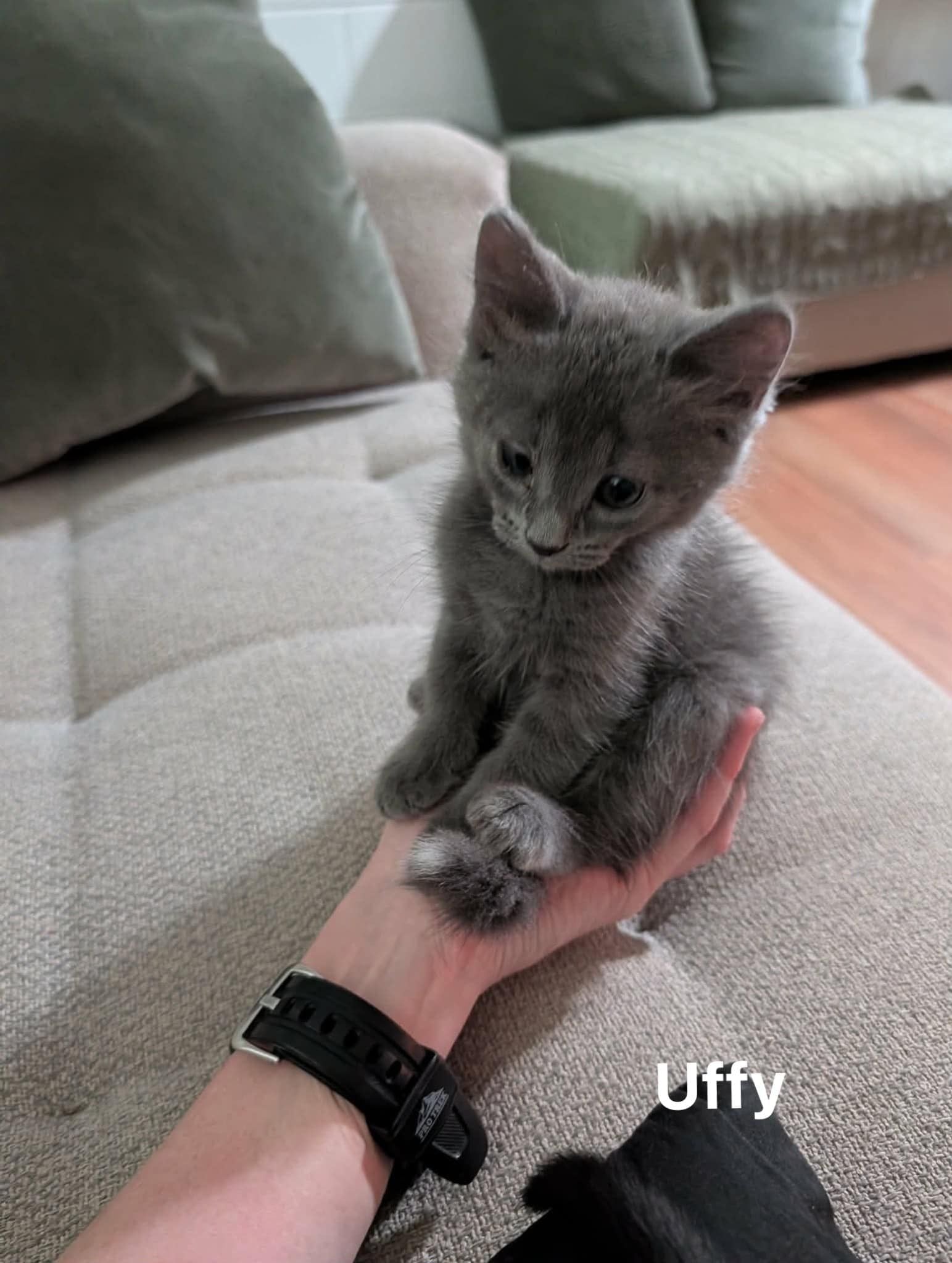 Uffy
