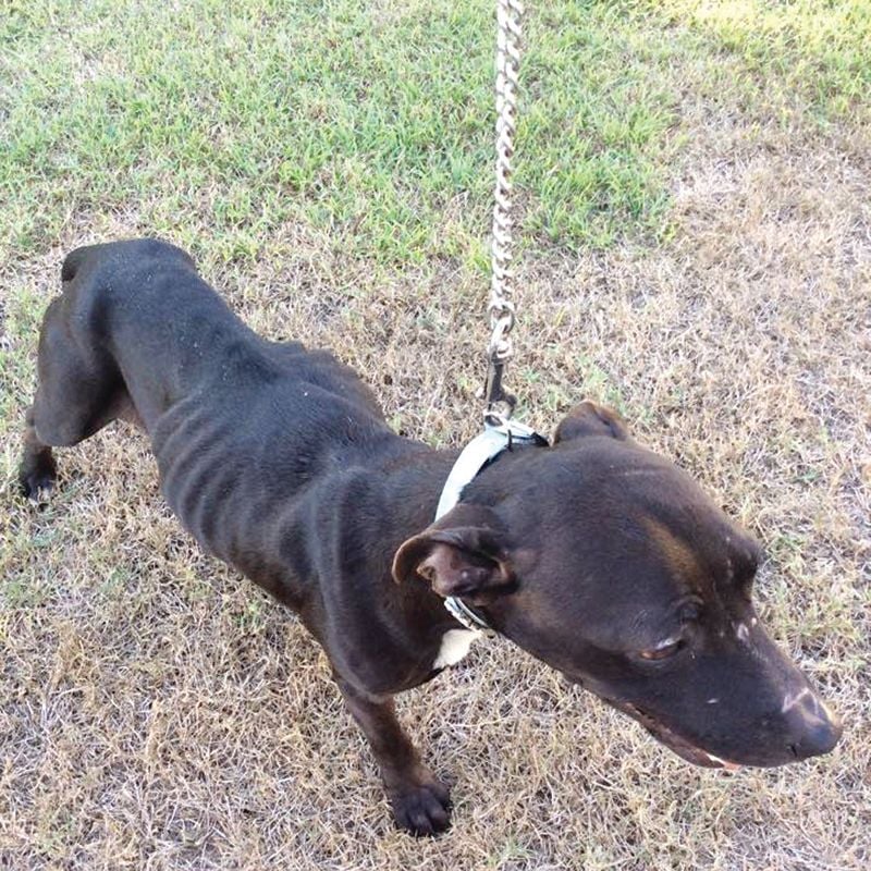 Success Stories Image -56a09b764f56a