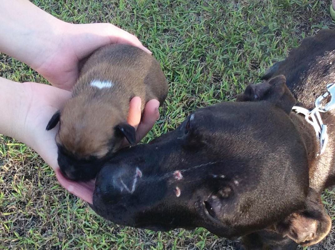 Success Stories Image -56a09b8920725