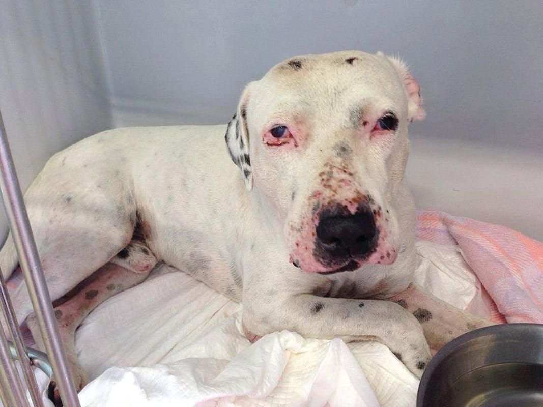 Success Stories Image -56a09b95db470