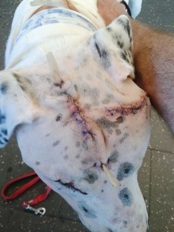 Success Stories Image -56a09ba16196f