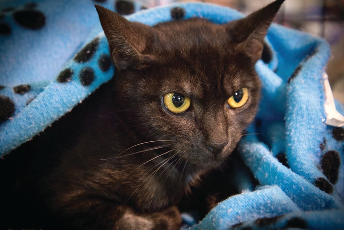 Success Stories Image -56a09bb68b6a9