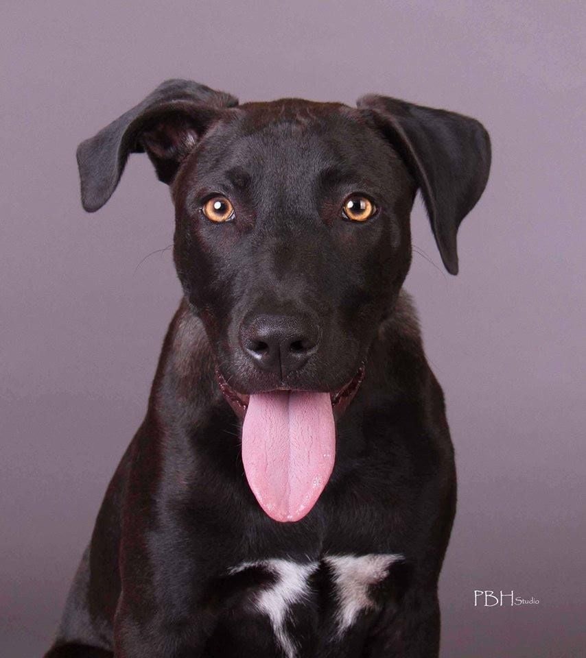 In Memoriam Image -56a5f28c7ec7e