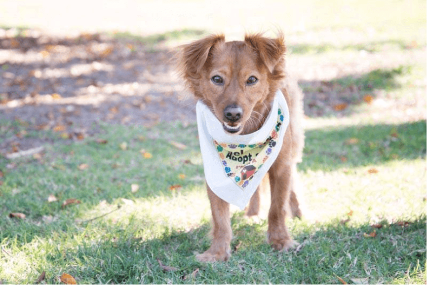 In Memoriam Image -575751211abb9