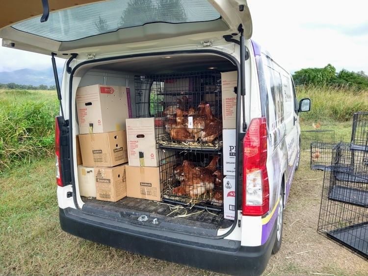 Volunteering Image -63f1c384e90ad