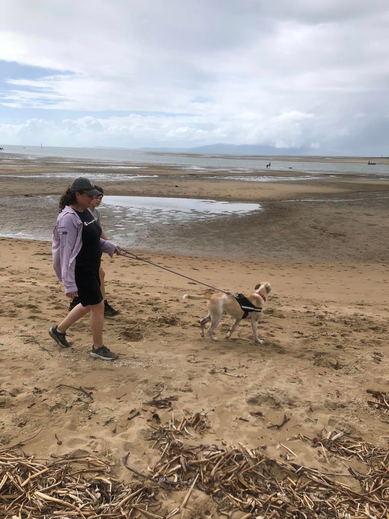 Volunteering Image -66e13eac19d4b